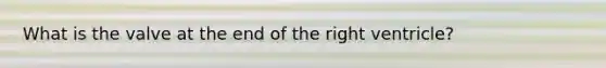 What is the valve at the end of the right ventricle?