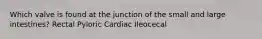 Which valve is found at the junction of the small and large intestines? Rectal Pyloric Cardiac Ileocecal