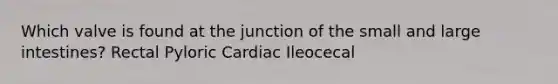 Which valve is found at the junction of the small and large intestines? Rectal Pyloric Cardiac Ileocecal