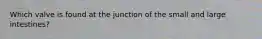 Which valve is found at the junction of the small and large intestines?