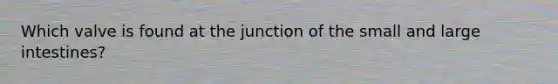 Which valve is found at the junction of the small and large intestines?