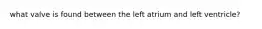 what valve is found between the left atrium and left ventricle?