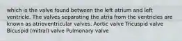 which is the valve found between the left atrium and left ventricle. The valves separating the atria from the ventricles are known as atrioventricular valves. Aortic valve Tricuspid valve Bicuspid (mitral) valve Pulmonary valve