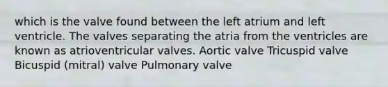 which is the valve found between the left atrium and left ventricle. The valves separating the atria from the ventricles are known as atrioventricular valves. Aortic valve Tricuspid valve Bicuspid (mitral) valve Pulmonary valve