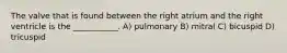 The valve that is found between the right atrium and the right ventricle is the ___________. A) pulmonary B) mitral C) bicuspid D) tricuspid