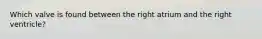 Which valve is found between the right atrium and the right ventricle?