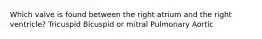 Which valve is found between the right atrium and the right ventricle? Tricuspid Bicuspid or mitral Pulmonary Aortic