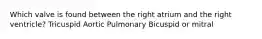 Which valve is found between the right atrium and the right ventricle? Tricuspid Aortic Pulmonary Bicuspid or mitral