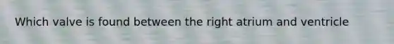 Which valve is found between the right atrium and ventricle