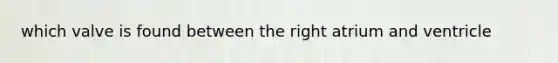 which valve is found between the right atrium and ventricle