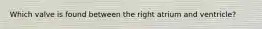 Which valve is found between the right atrium and ventricle?