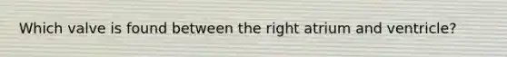 Which valve is found between the right atrium and ventricle?
