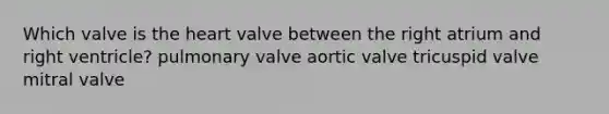 Which valve is the heart valve between the right atrium and right ventricle? pulmonary valve aortic valve tricuspid valve mitral valve