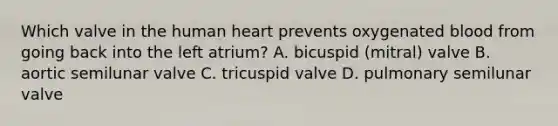 Which valve in the human heart prevents oxygenated blood from going back into the left atrium? A. bicuspid (mitral) valve B. aortic semilunar valve C. tricuspid valve D. pulmonary semilunar valve