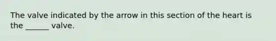 The valve indicated by the arrow in this section of the heart is the ______ valve.