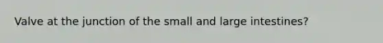 Valve at the junction of the small and <a href='https://www.questionai.com/knowledge/kGQjby07OK-large-intestine' class='anchor-knowledge'>large intestine</a>s?