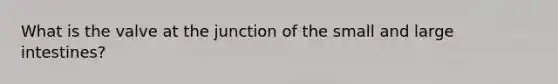 What is the valve at the junction of the small and large intestines?