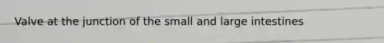 Valve at the junction of the small and large intestines