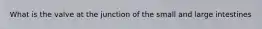 What is the valve at the junction of the small and large intestines