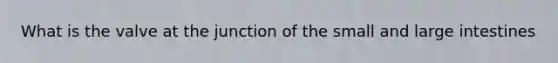 What is the valve at the junction of the small and large intestines