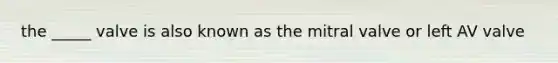 the _____ valve is also known as the mitral valve or left AV valve