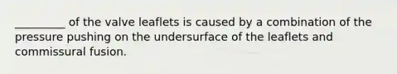 _________ of the valve leaflets is caused by a combination of the pressure pushing on the undersurface of the leaflets and commissural fusion.