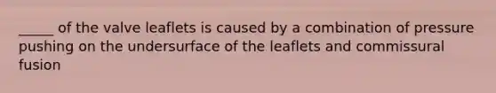 _____ of the valve leaflets is caused by a combination of pressure pushing on the undersurface of the leaflets and commissural fusion