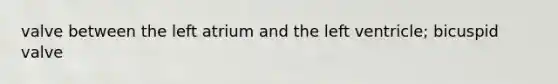valve between the left atrium and the left ventricle; bicuspid valve
