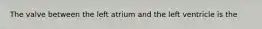 The valve between the left atrium and the left ventricle is the