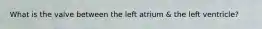 What is the valve between the left atrium & the left ventricle?