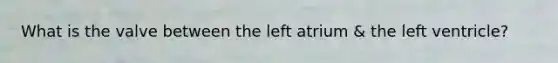 What is the valve between the left atrium & the left ventricle?