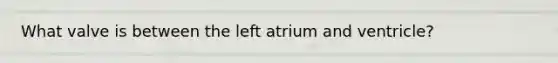 What valve is between the left atrium and ventricle?