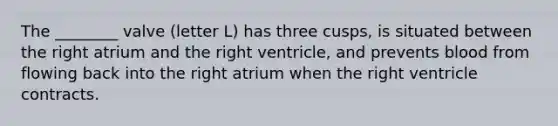 The ________ valve (letter L) has three cusps, is situated between the right atrium and the right ventricle, and prevents blood from flowing back into the right atrium when the right ventricle contracts.