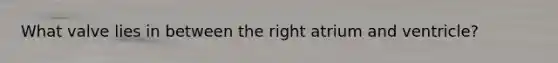 What valve lies in between the right atrium and ventricle?