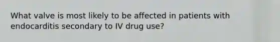 What valve is most likely to be affected in patients with endocarditis secondary to IV drug use?