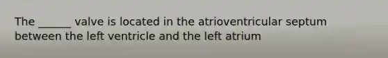 The ______ valve is located in the atrioventricular septum between the left ventricle and the left atrium