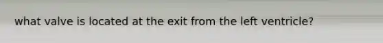 what valve is located at the exit from the left ventricle?