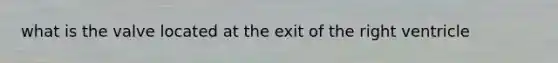what is the valve located at the exit of the right ventricle