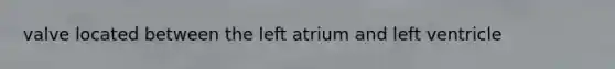 valve located between the left atrium and left ventricle