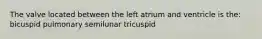 The valve located between the left atrium and ventricle is the: bicuspid pulmonary semilunar tricuspid