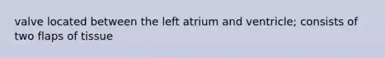 valve located between the left atrium and ventricle; consists of two flaps of tissue