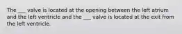 The ___ valve is located at the opening between the left atrium and the left ventricle and the ___ valve is located at the exit from the left ventricle.