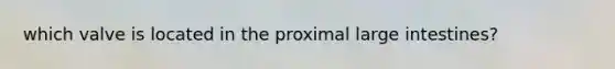 which valve is located in the proximal large intestines?