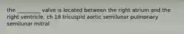 the _________ valve is located between the right atrium and the right ventricle. ch 18 tricuspid aortic semilunar pulmonary semilunar mitral