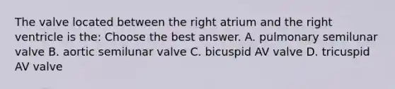 The valve located between the right atrium and the right ventricle is the: Choose the best answer. A. pulmonary semilunar valve B. aortic semilunar valve C. bicuspid AV valve D. tricuspid AV valve