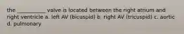 the ___________ valve is located between the right atrium and right ventricle a. left AV (bicuspid) b. right AV (tricuspid) c. aortic d. pulmonary