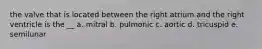 the valve that is located between the right atrium and the right ventricle is the __ a. mitral b. pulmonic c. aortic d. tricuspid e. semilunar