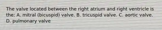 The valve located between the right atrium and right ventricle is the: A. mitral (bicuspid) valve. B. tricuspid valve. C. aortic valve. D. pulmonary valve