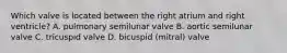 Which valve is located between the right atrium and right ventricle? A. pulmonary semilunar valve B. aortic semilunar valve C. tricuspid valve D. bicuspid (mitral) valve