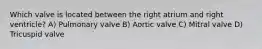 Which valve is located between the right atrium and right ventricle? A) Pulmonary valve B) Aortic valve C) Mitral valve D) Tricuspid valve